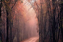 皇冠篮球比分59300走地是什么？合法吗？该怎么对待？