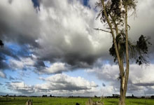 斯诺克直播间为何能吸引众多球迷？