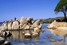 哥伦比亚vs秘鲁谁会赢？这场比赛比分会是多少？